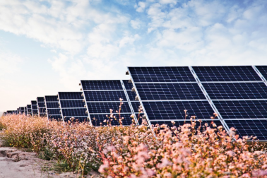 中國(guó)華能的“高性價(jià)比”光伏電站，妙招在這里！